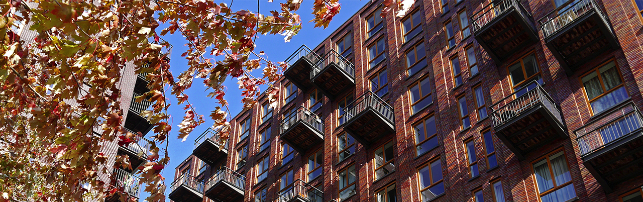 Procorp | Visitaties woningcorporaties